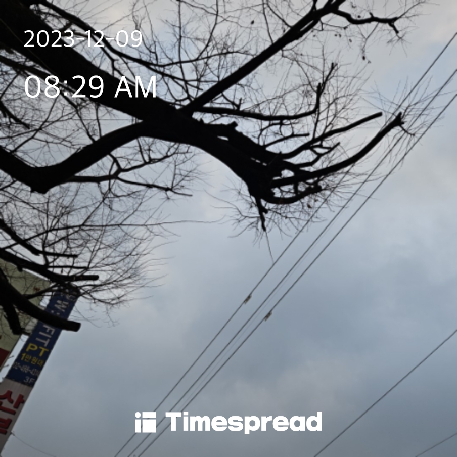 비가 내릴까...눈이??