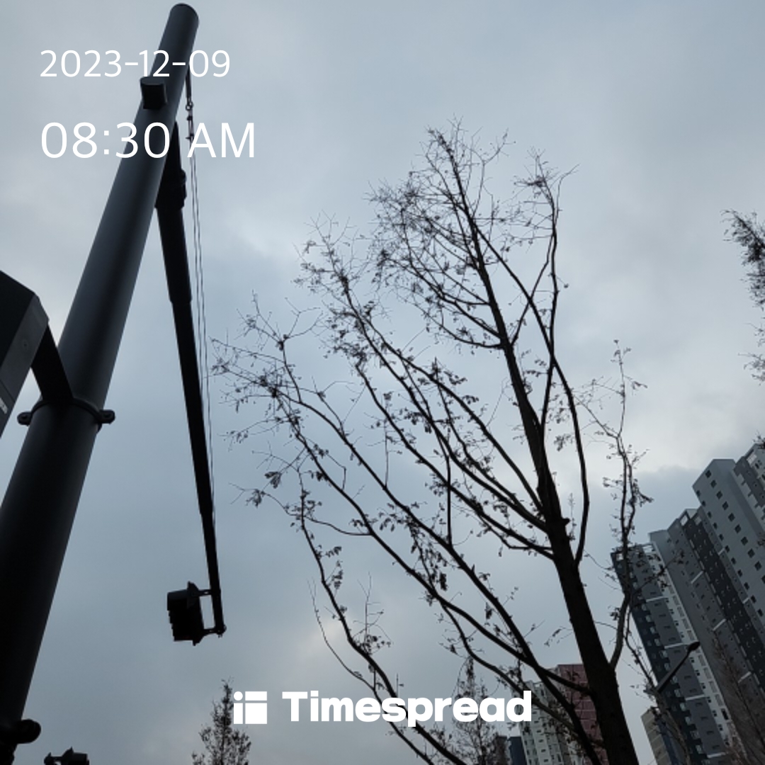 하늘보기