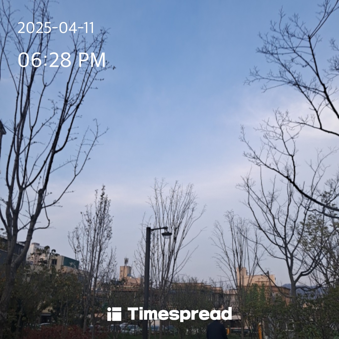 파랑💙