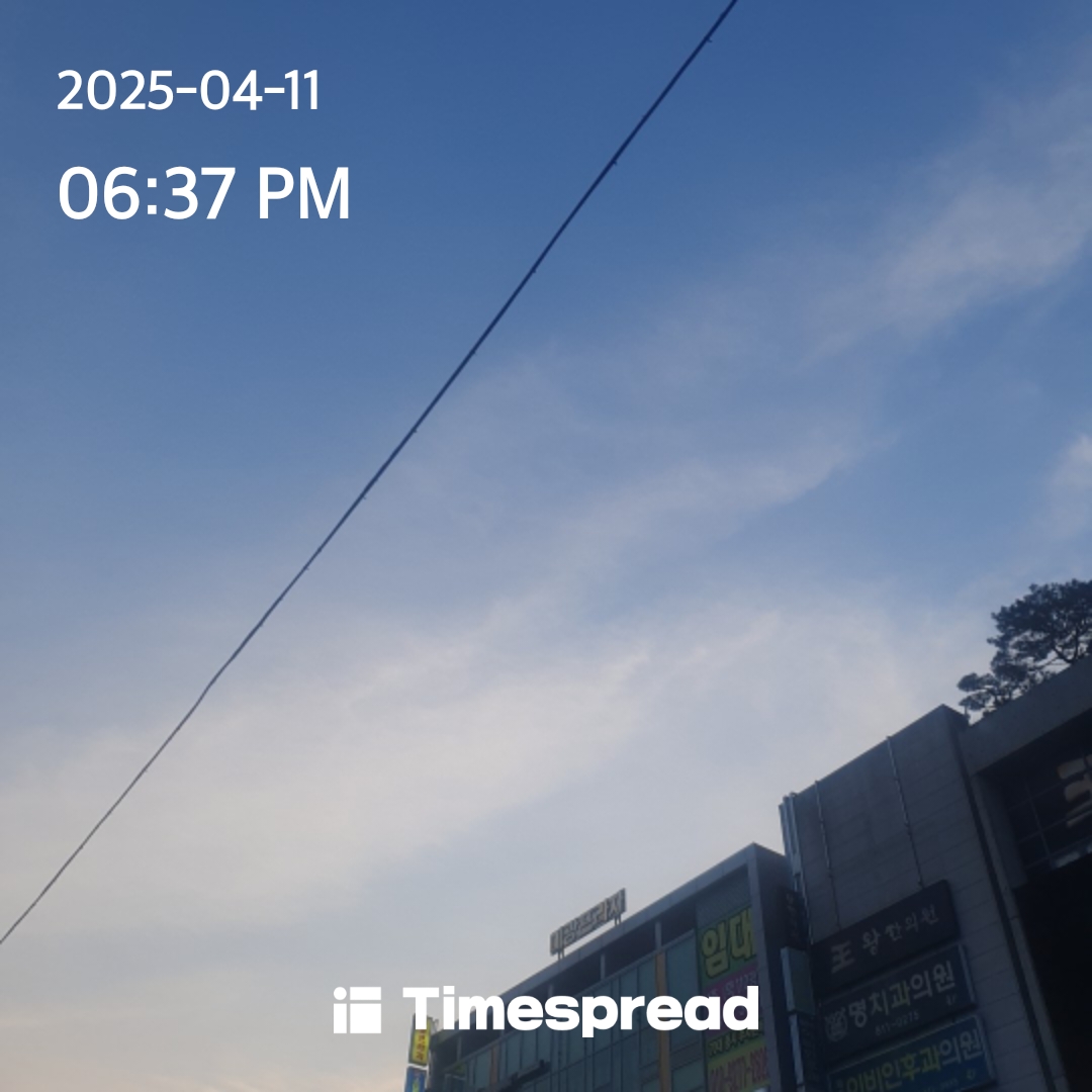 하늘보기