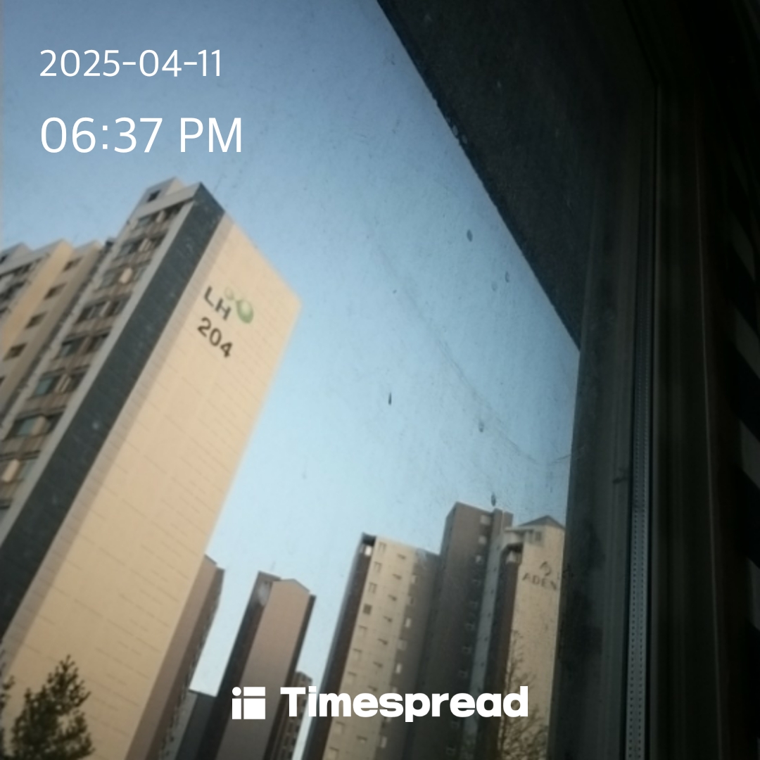 스카이 