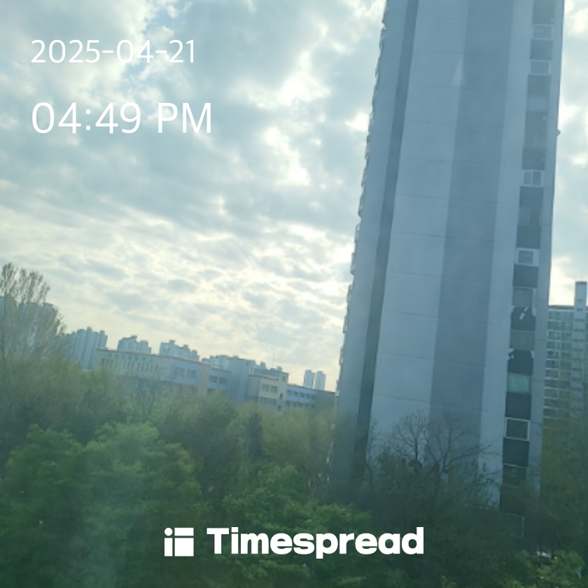 하늘보기