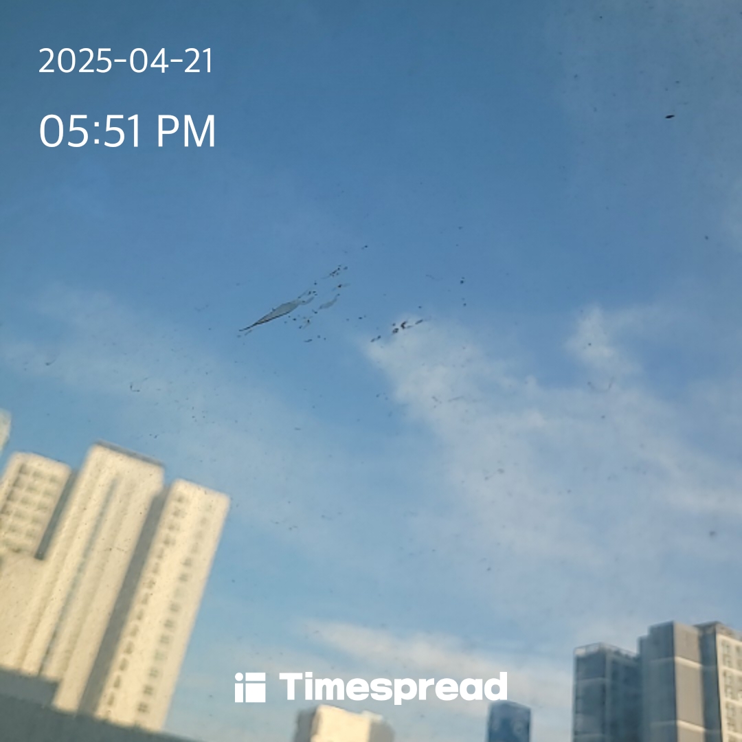 하늘보기 