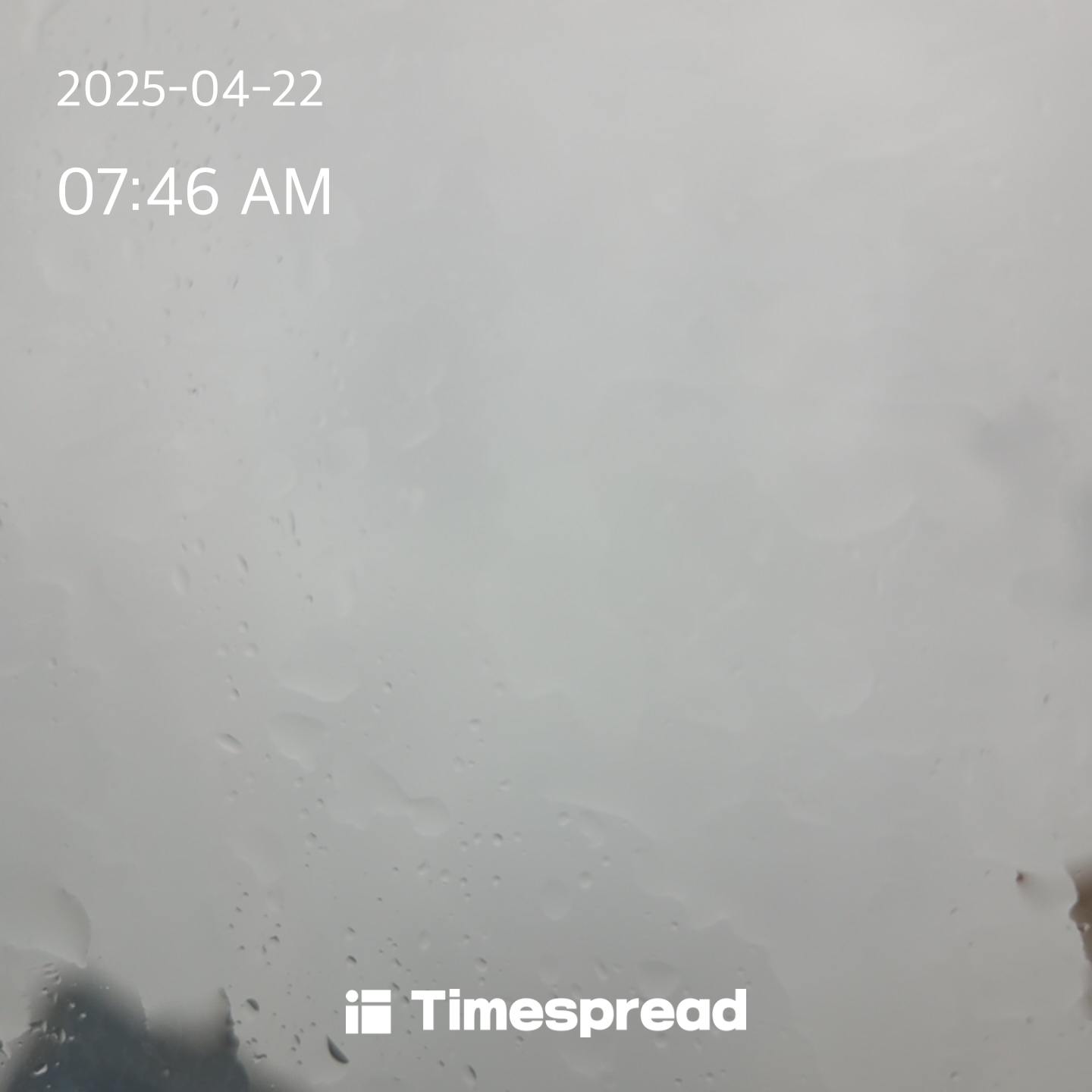 하늘