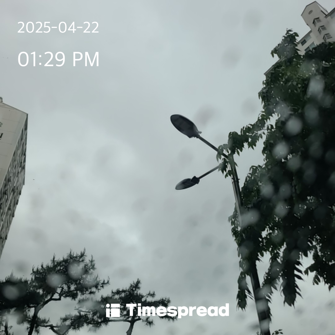하늘보기 