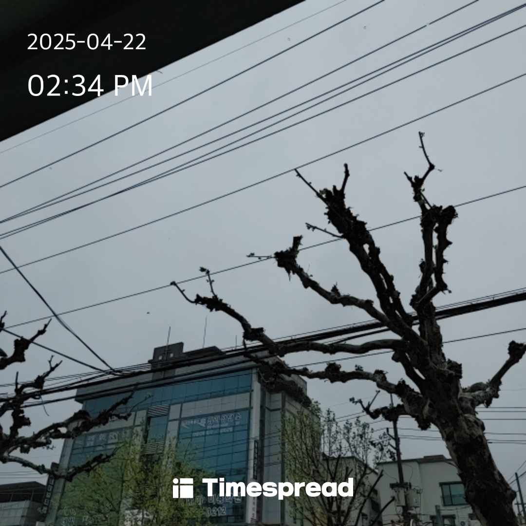 하늘보기
