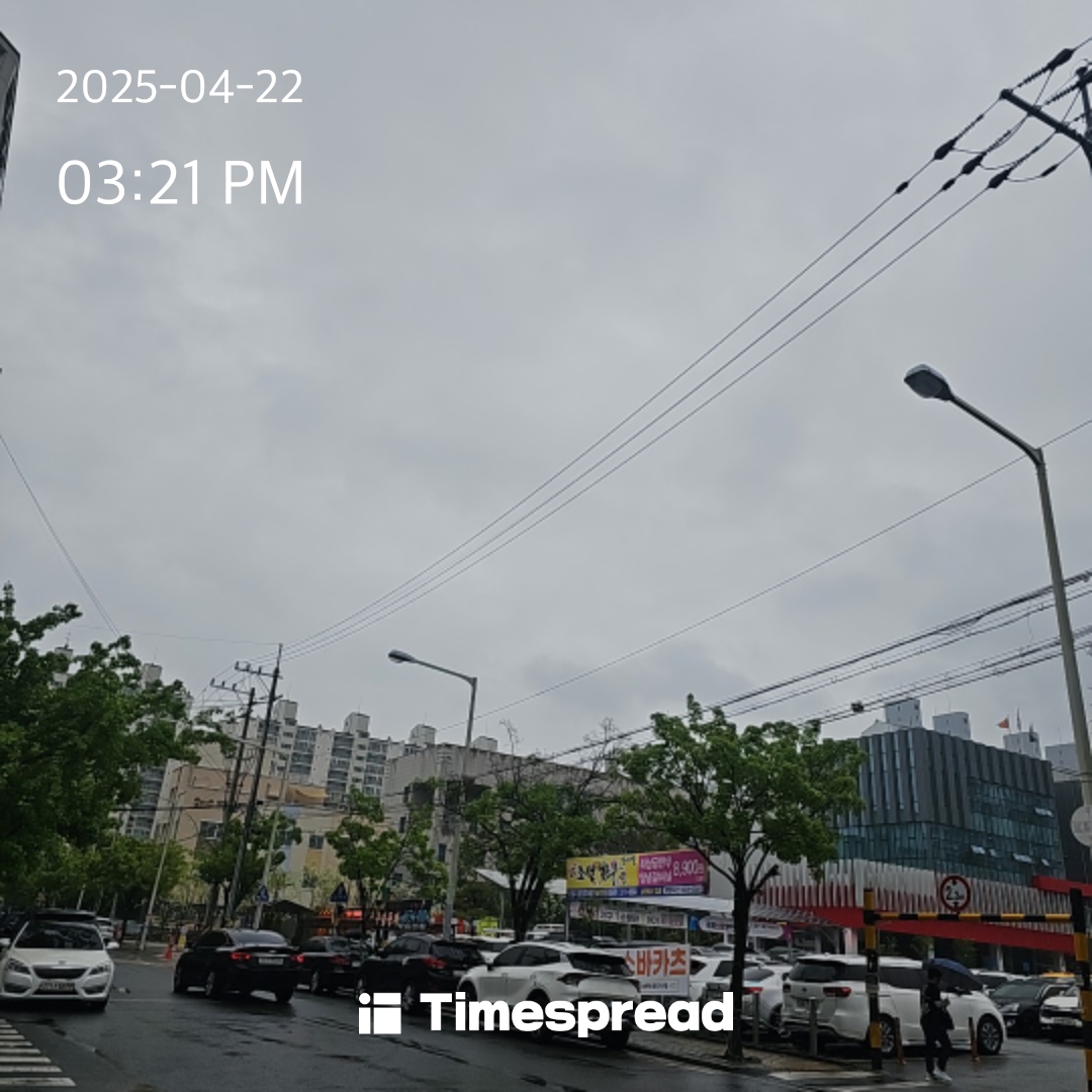 하늘보기