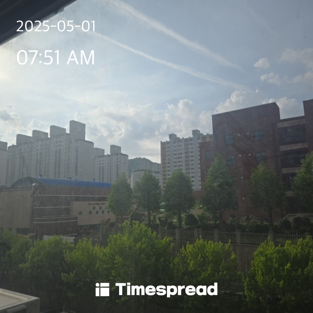 하늘보기