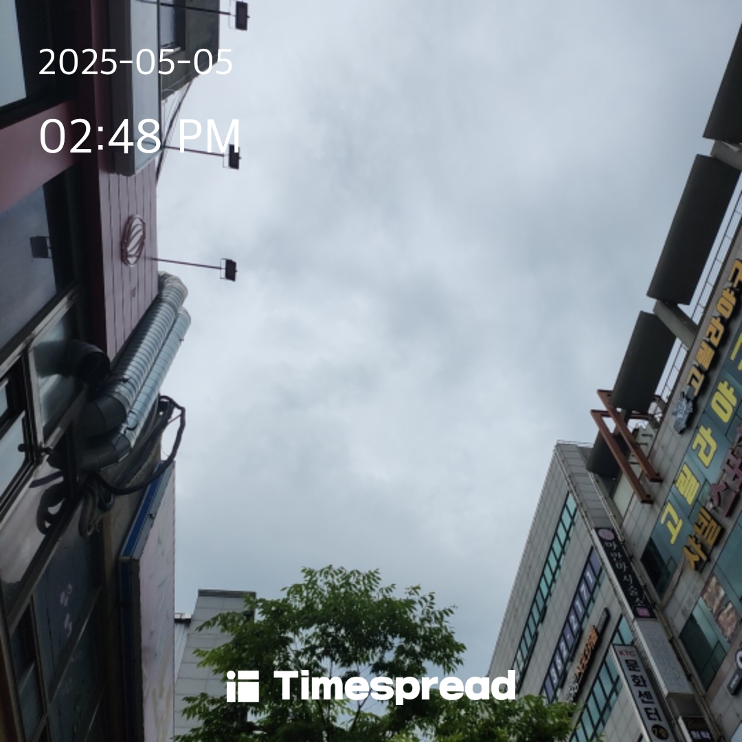 흐린날