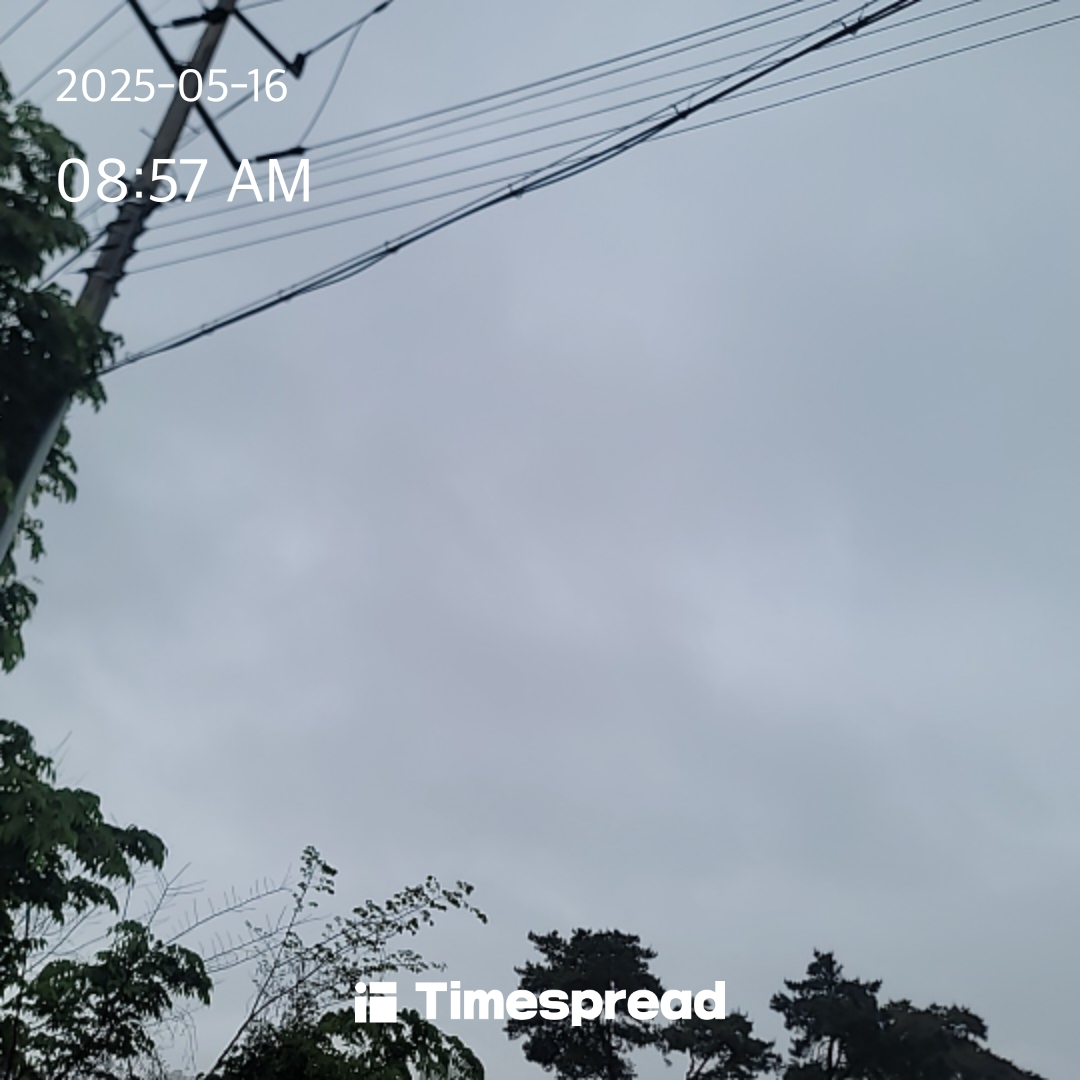 하늘