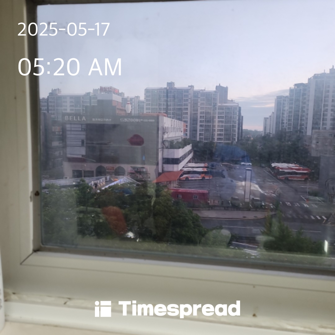 하늘보기챌린지 