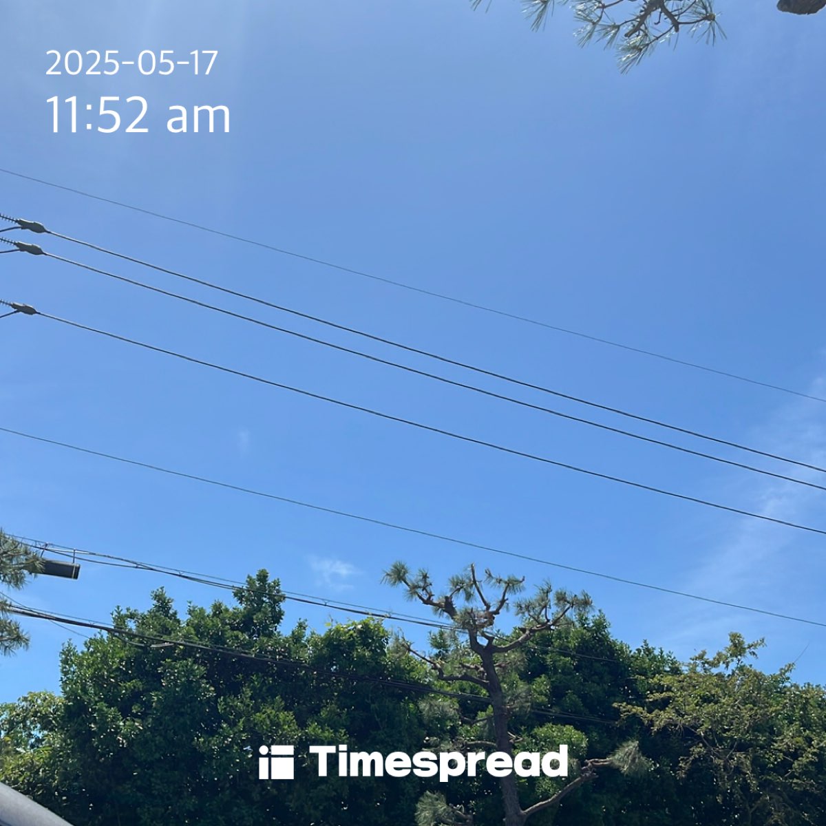 5/17