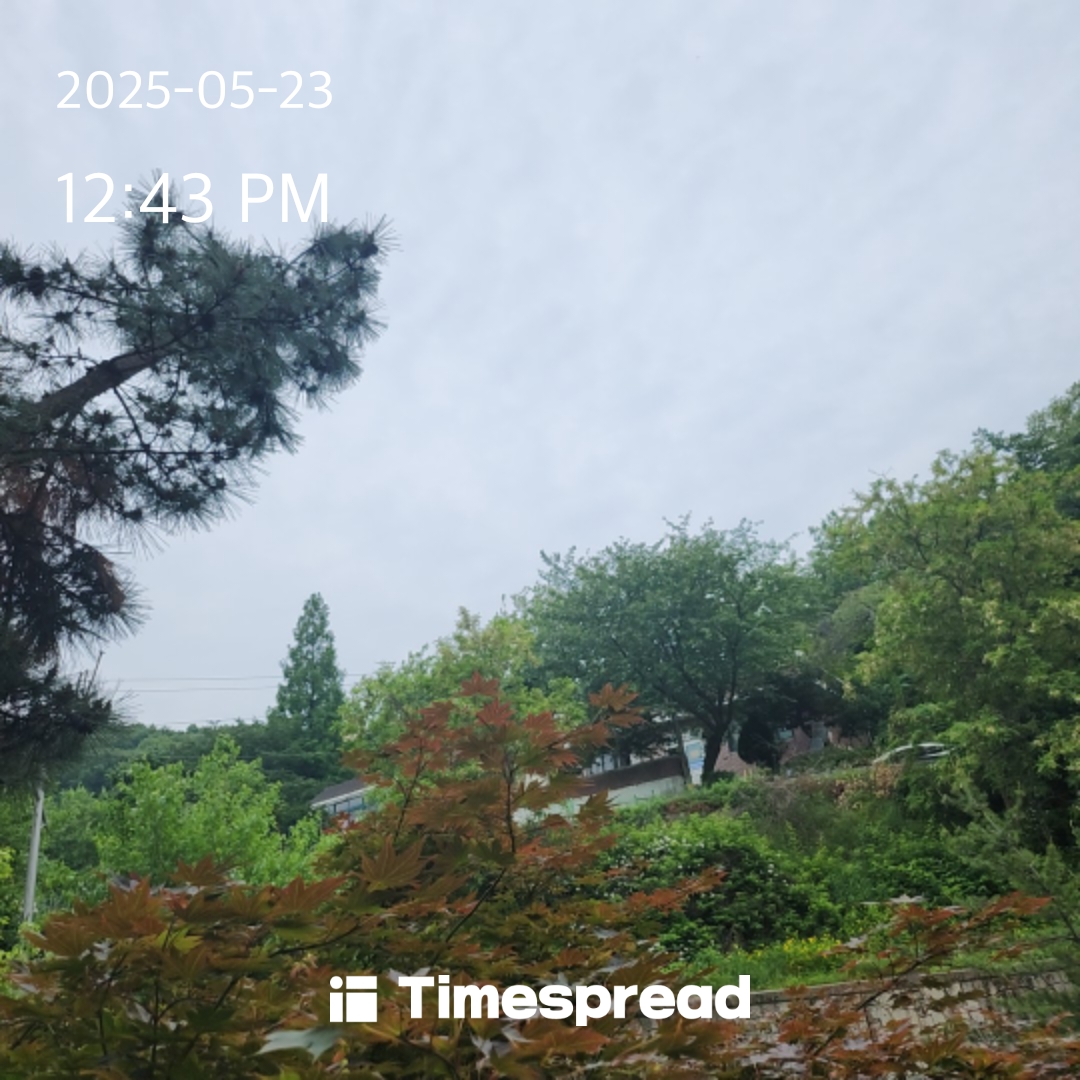 하늘