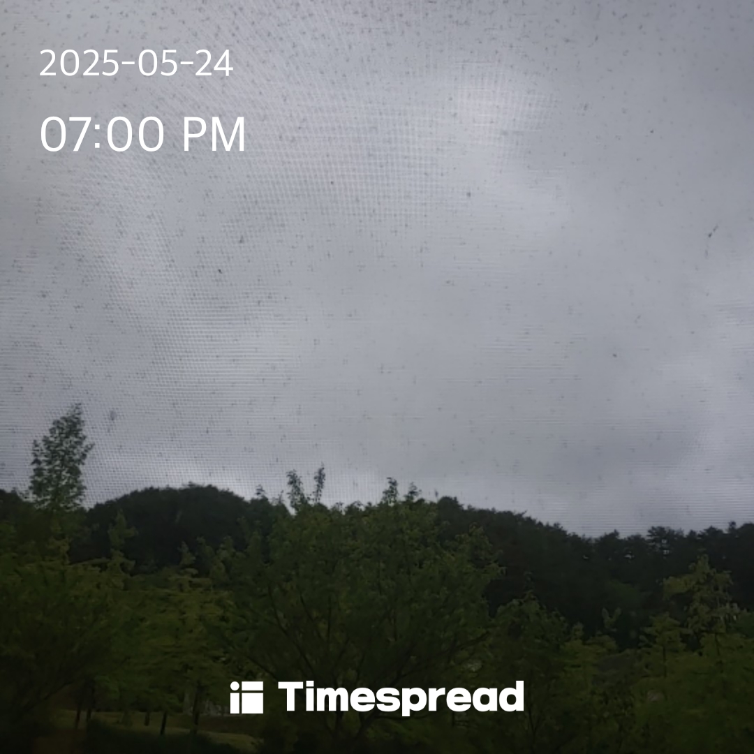 하늘