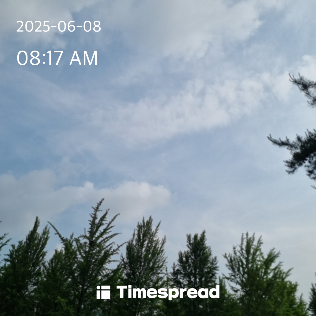하늘보기 