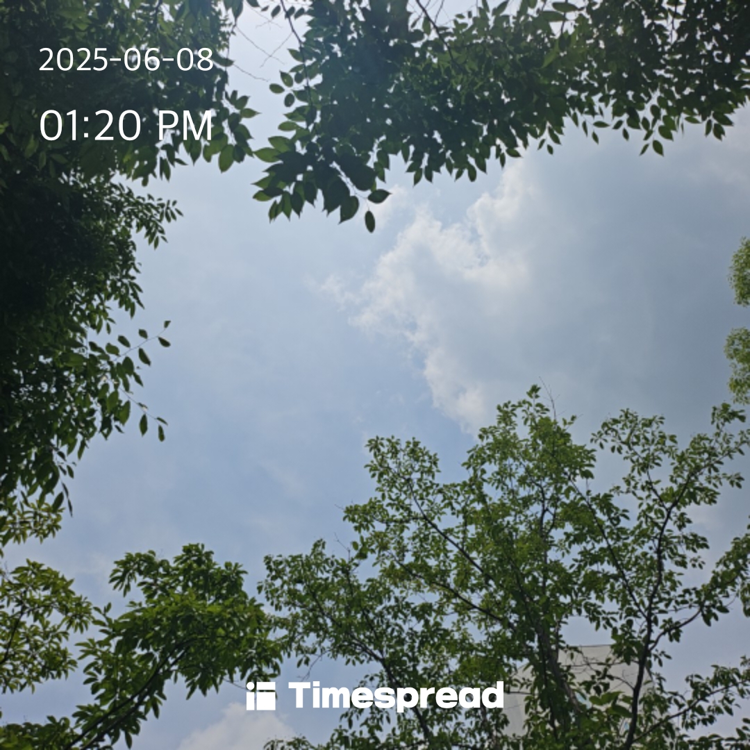 하늘 인증