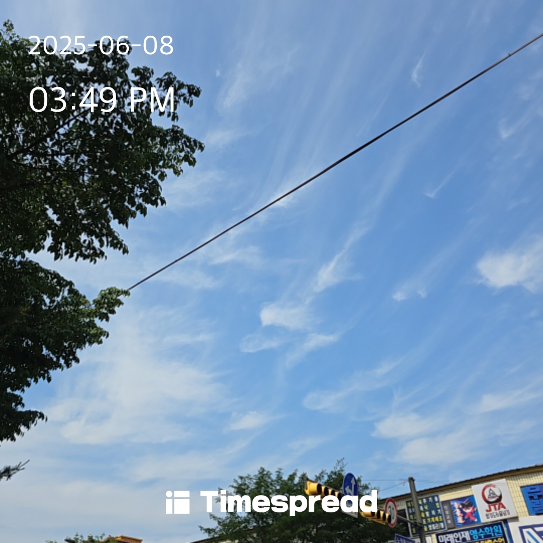 인증샷 