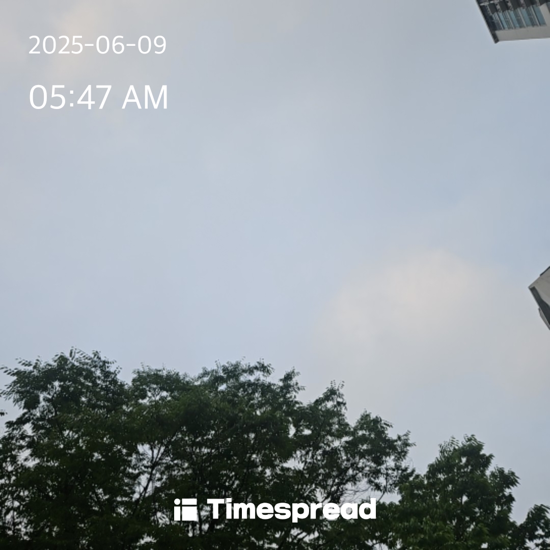 하늘보기 8일차인증