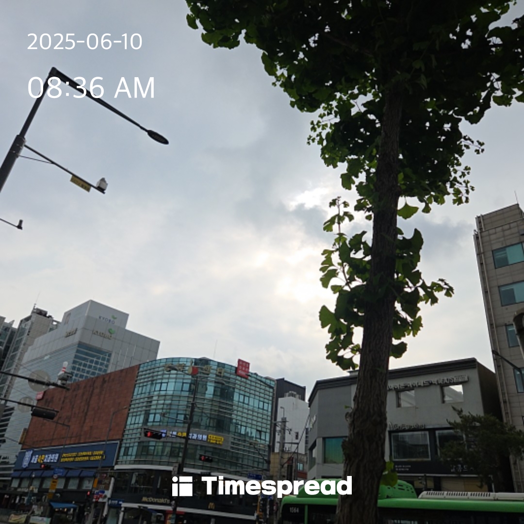 하늘보기 4일차