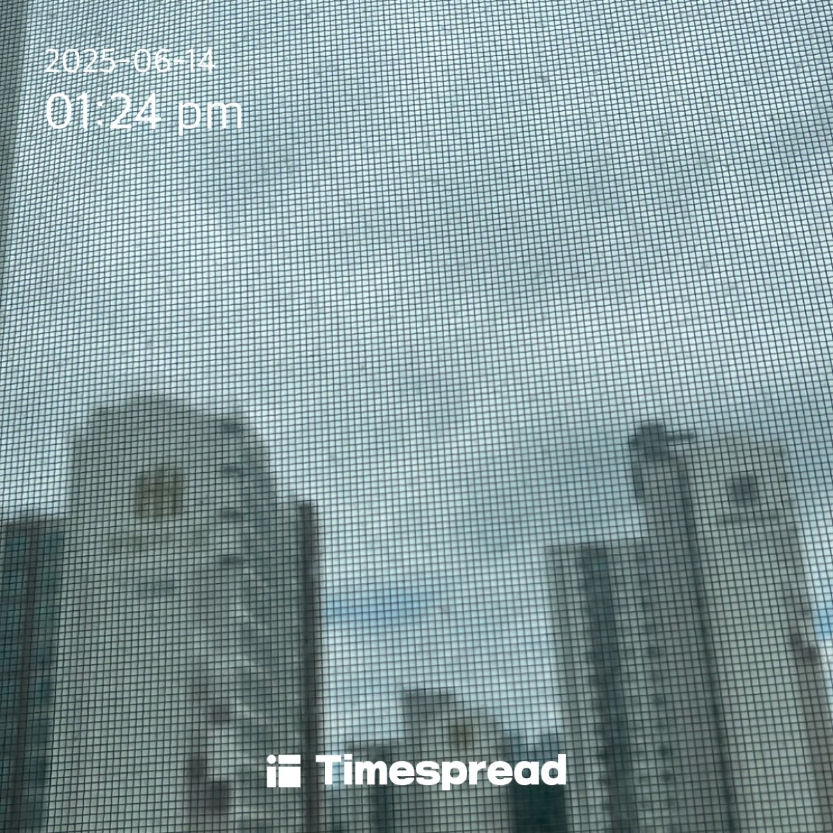 하늘보기 챌린지