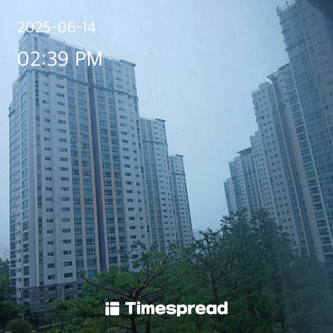 하늘보기 