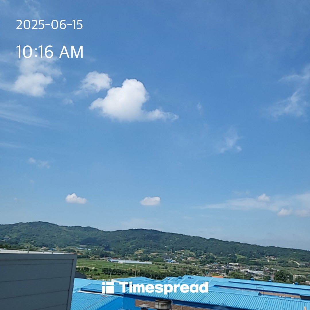 일요일 