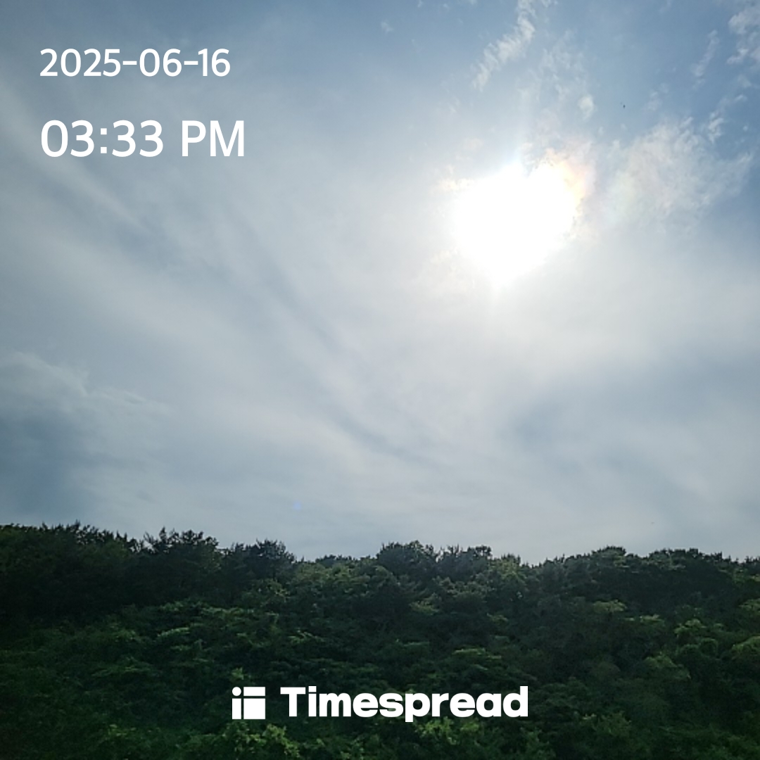 눈부셔 