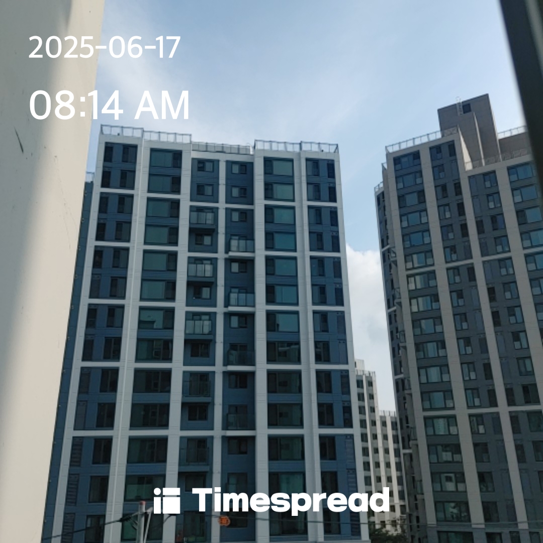 하늘보기