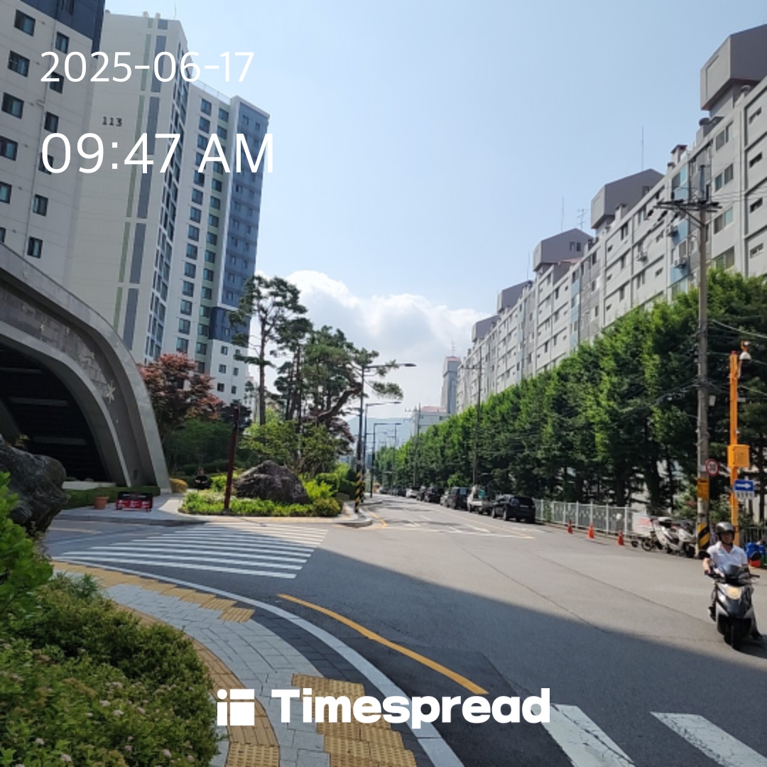 하늘보기
