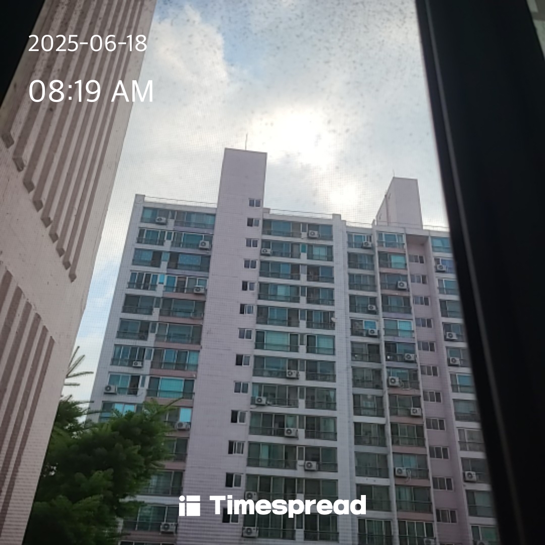 하늘
