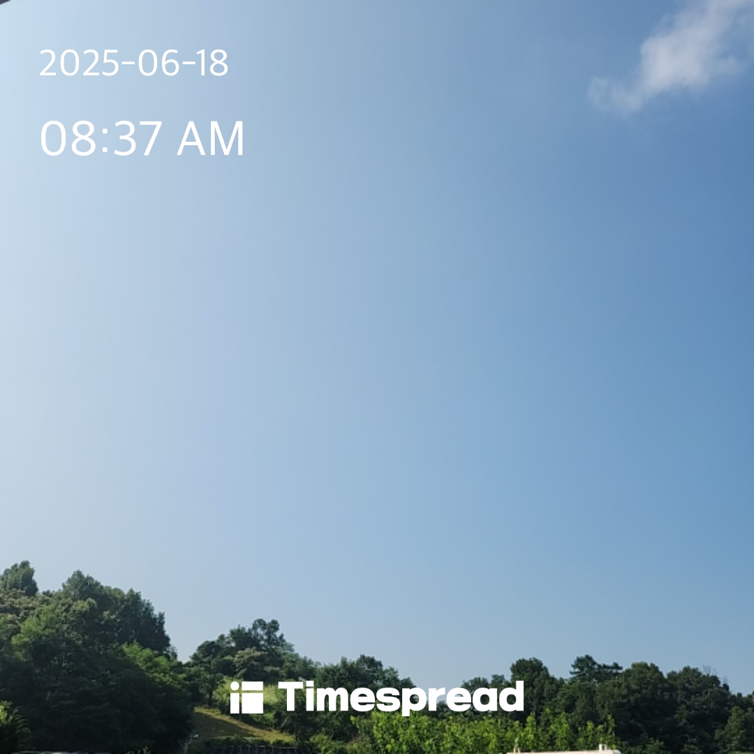 하늘보기 1일차 인증하기