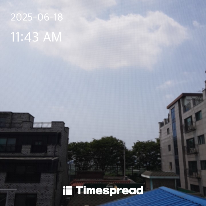 하늘보기 