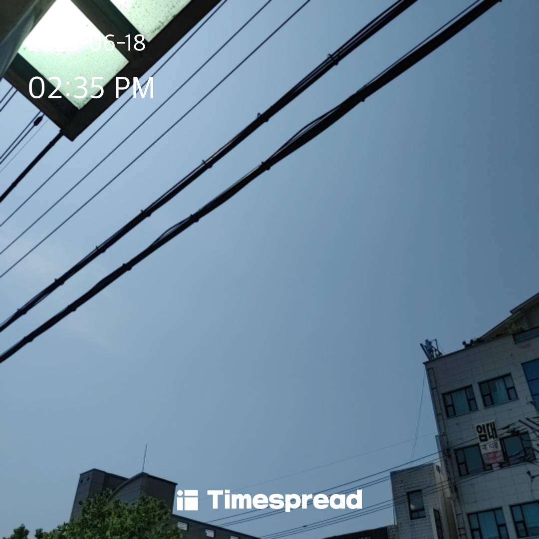 하늘보기