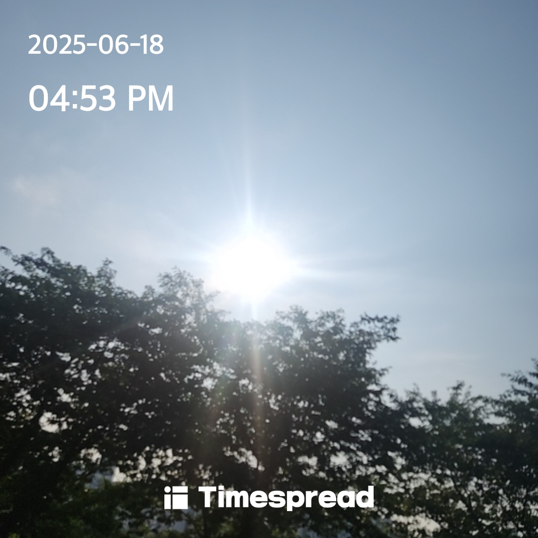 하늘보기첼린지