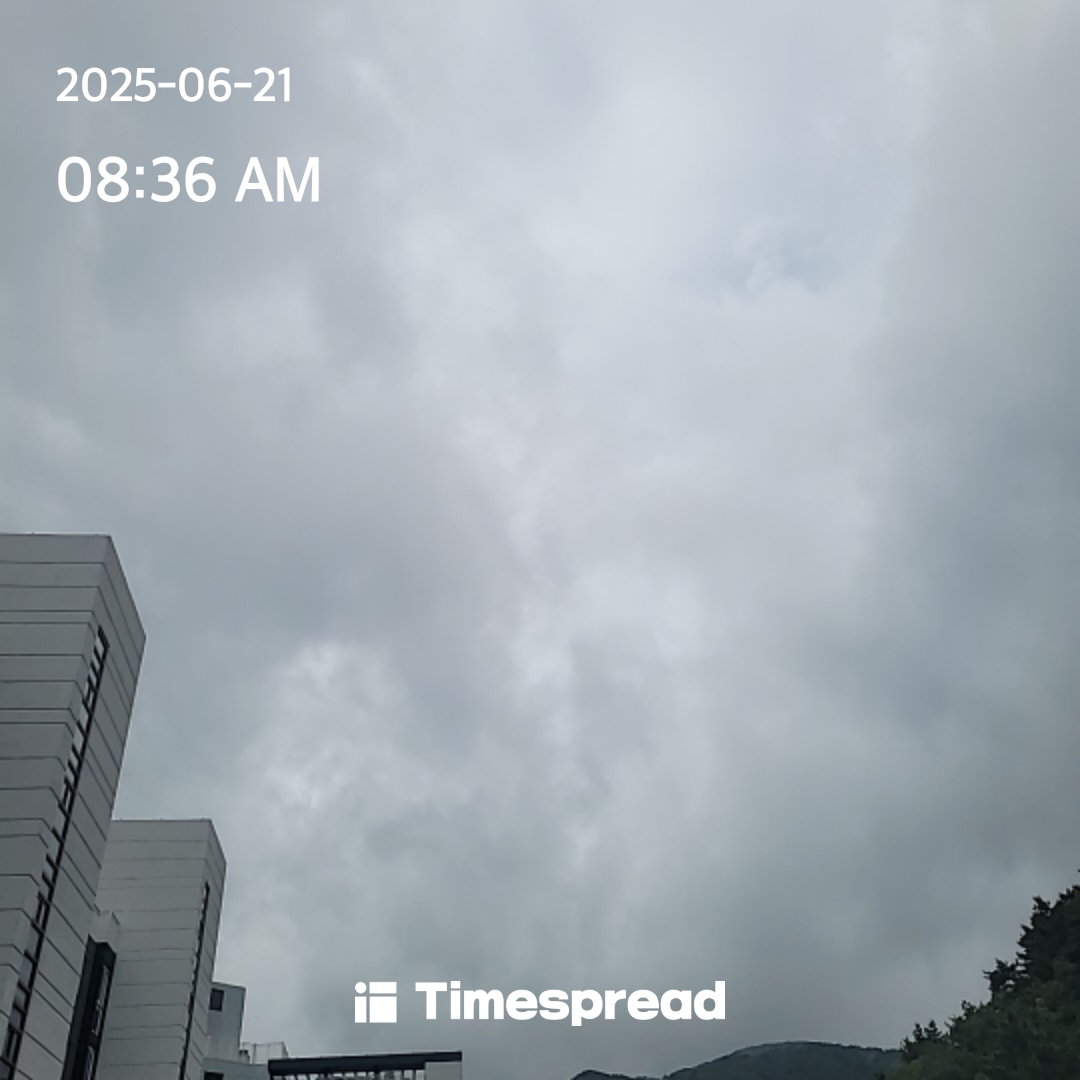 하늘보기