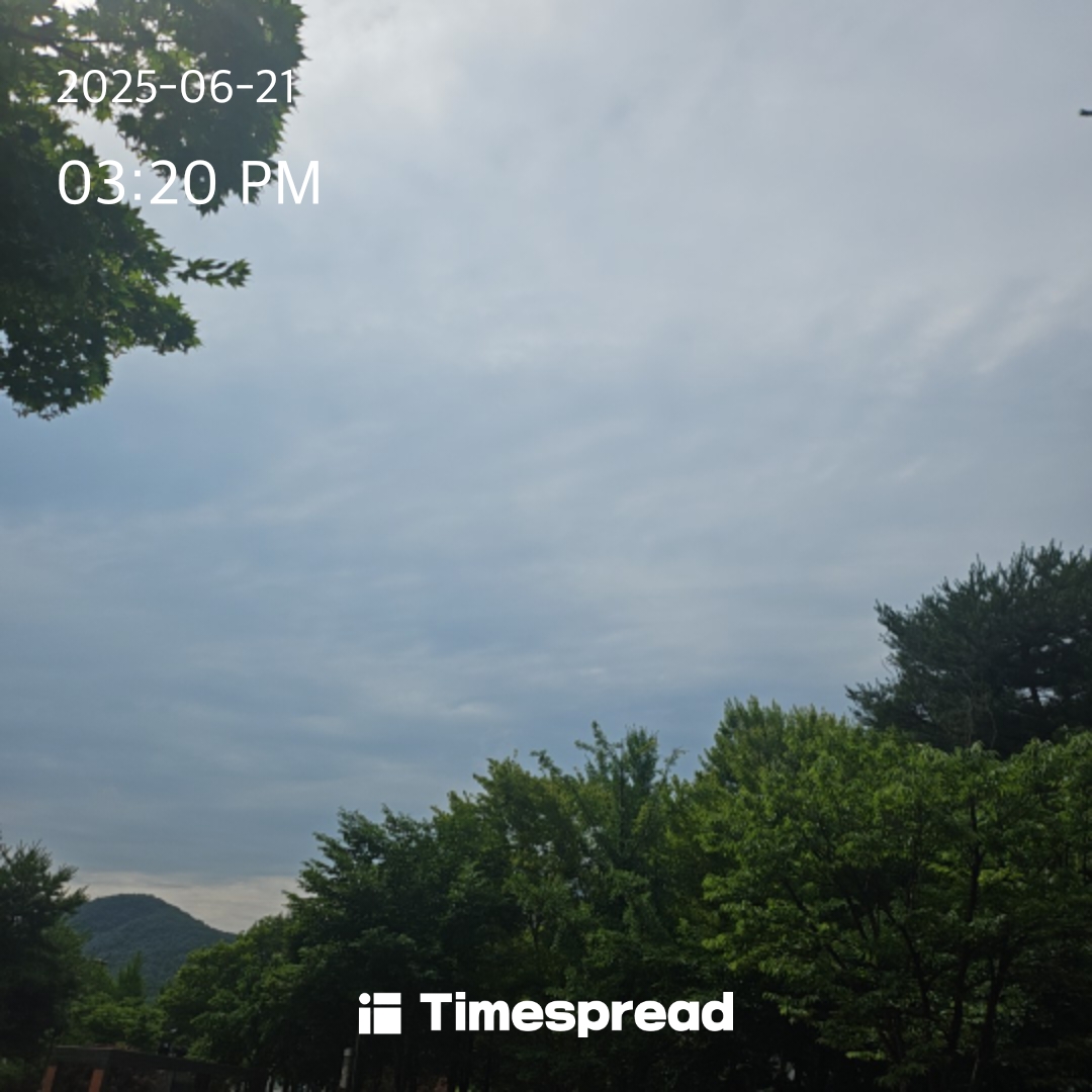 하늘보기챌린지 인증