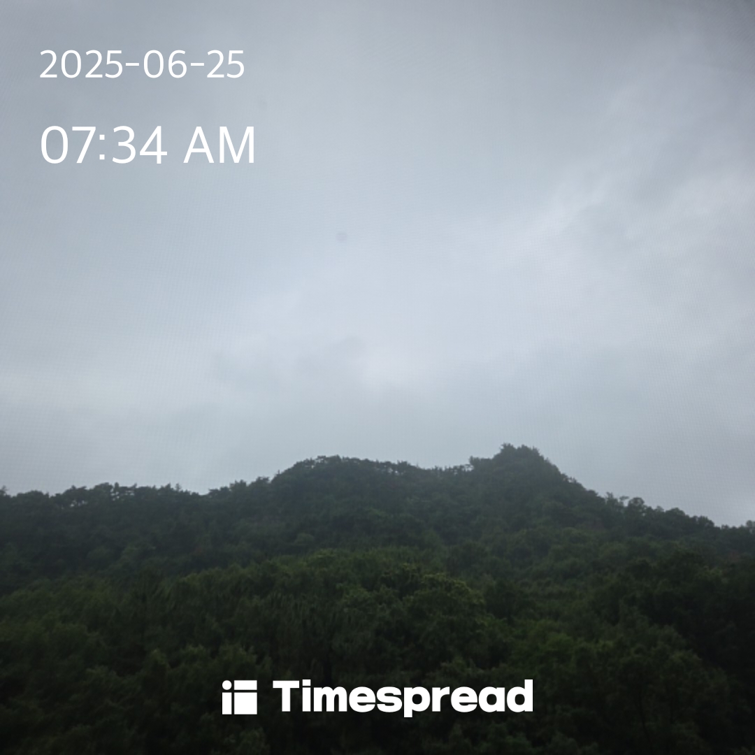 지금
