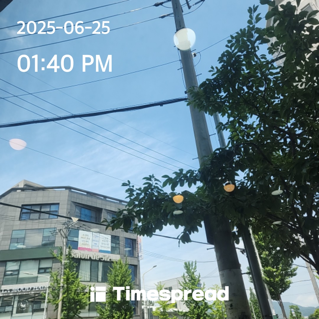 하늘보기 챌린지 인증 