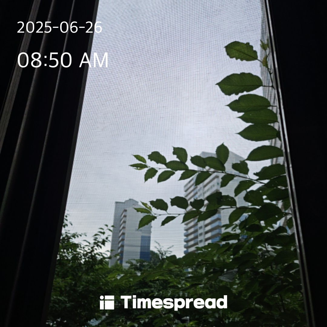하늘 