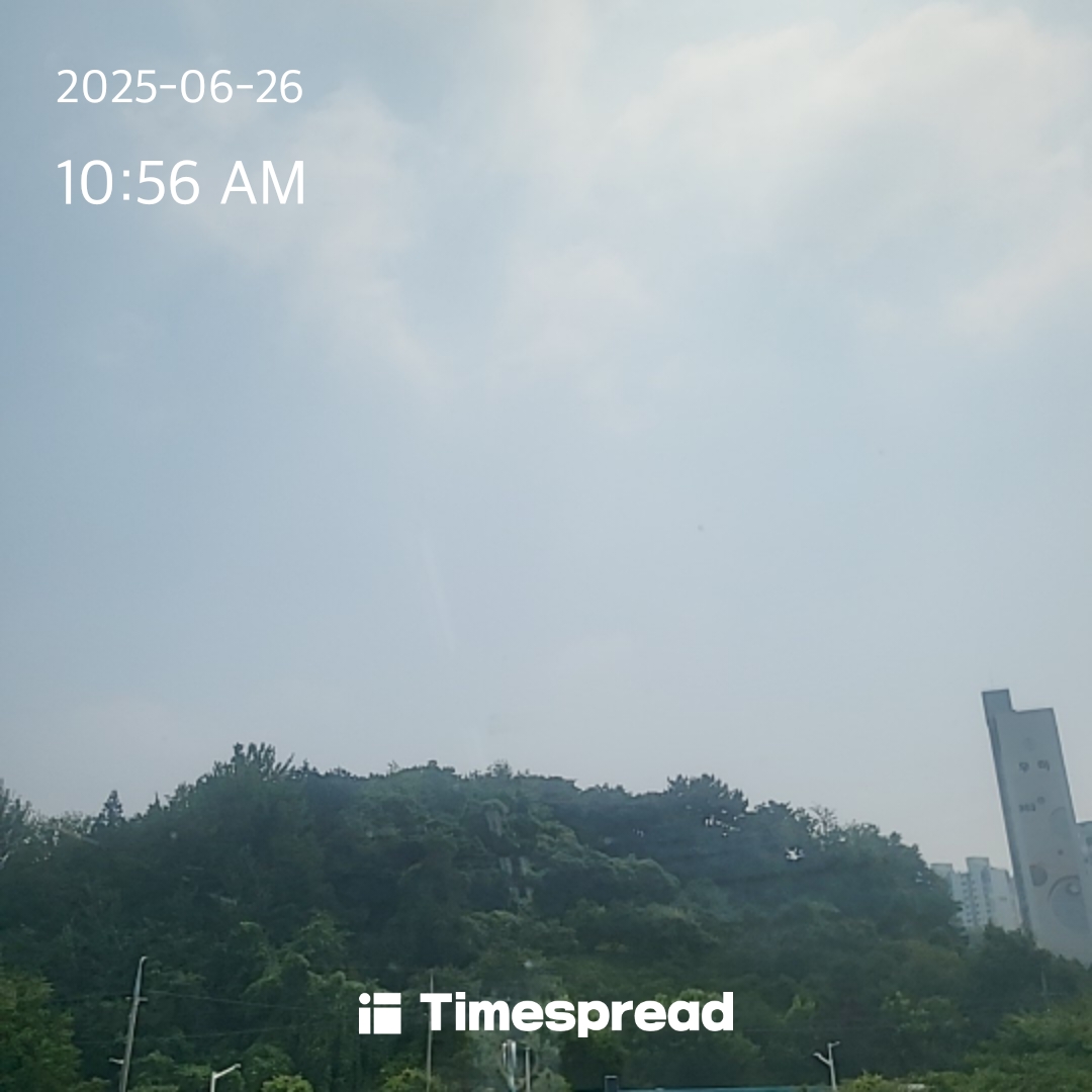 하늘보기