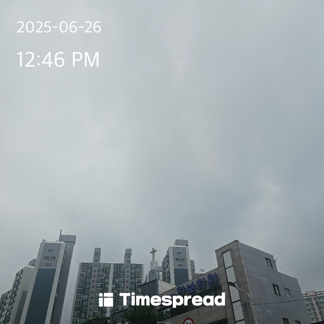 하늘보기 인증