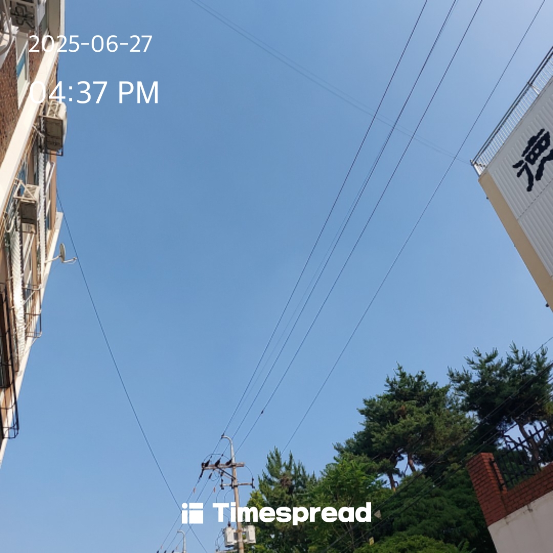 하늘보기