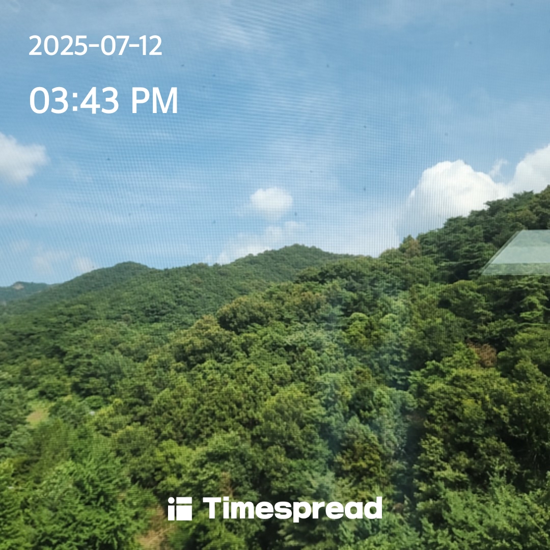 하늘보기 