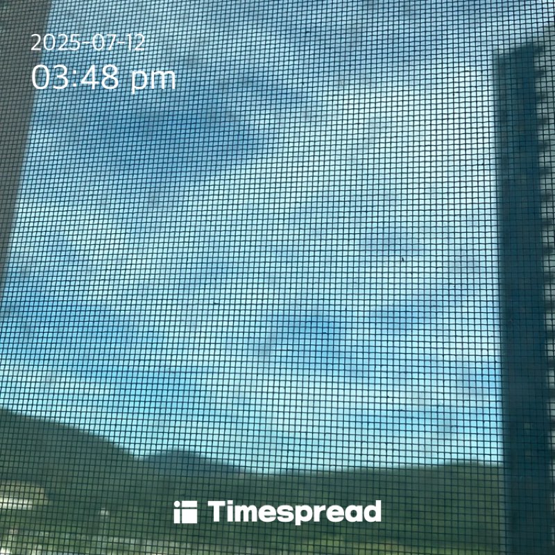 하늘
