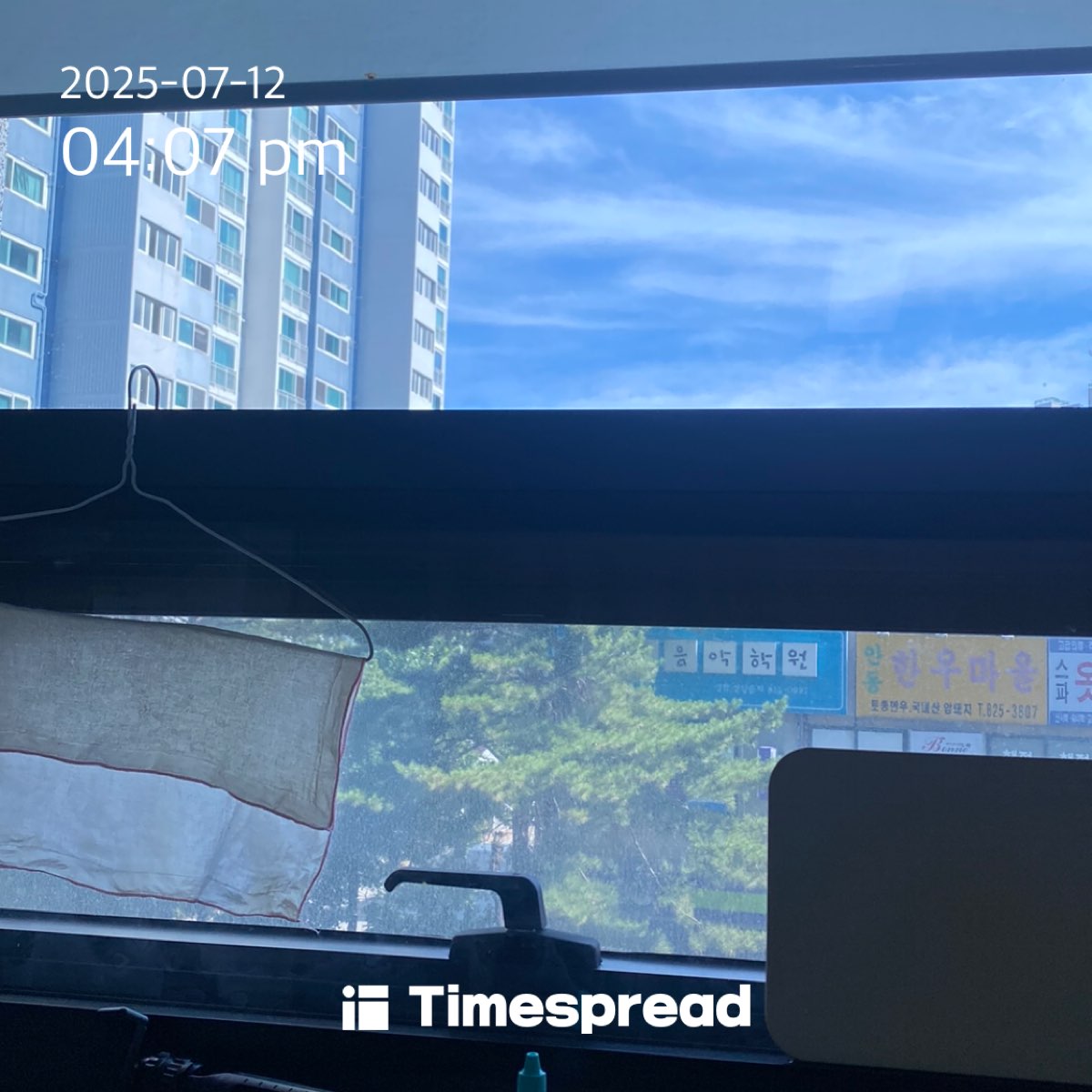 하늘보기