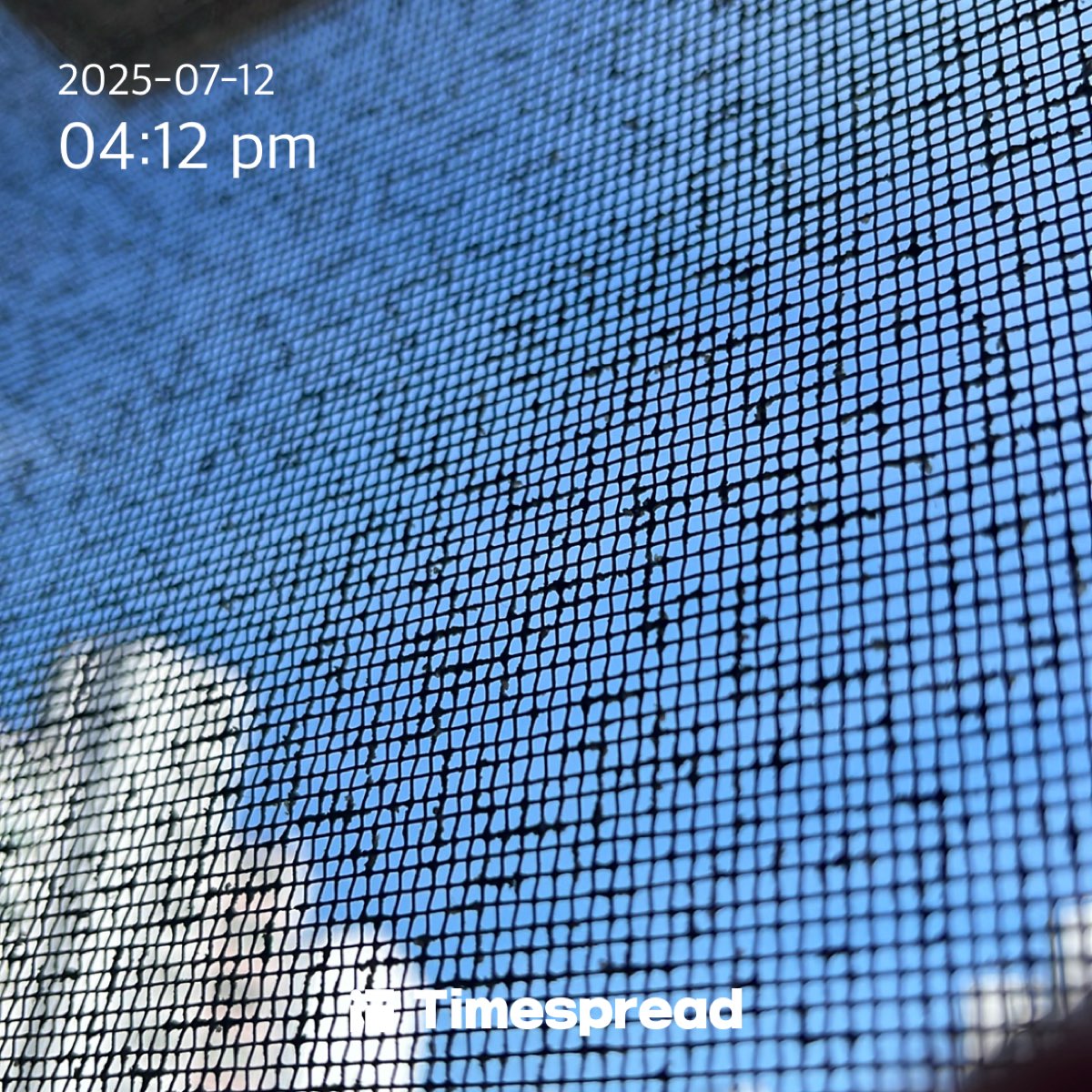 ㅎㄴ