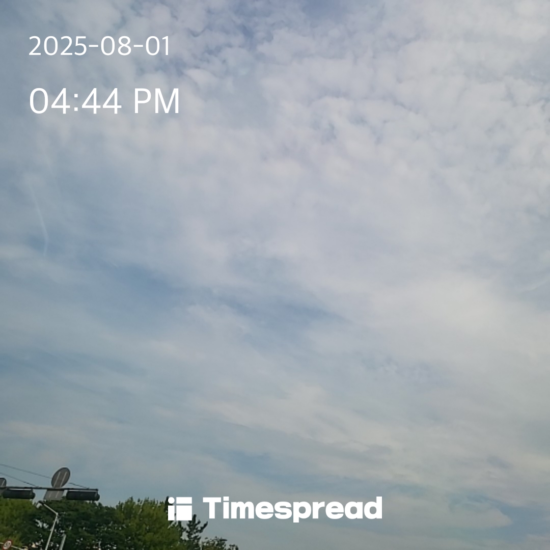 하늘보기 