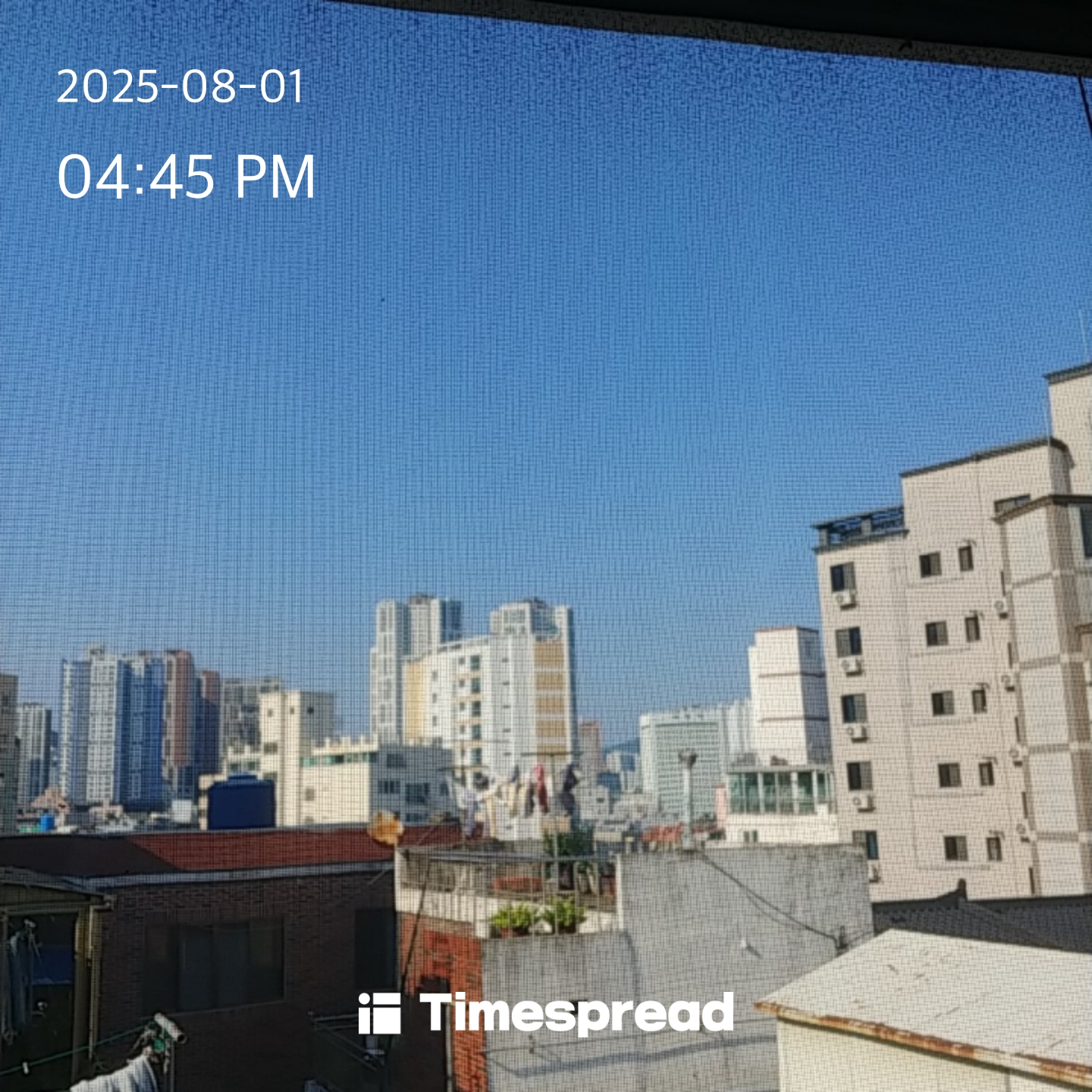 오늘도 역시 땡볕