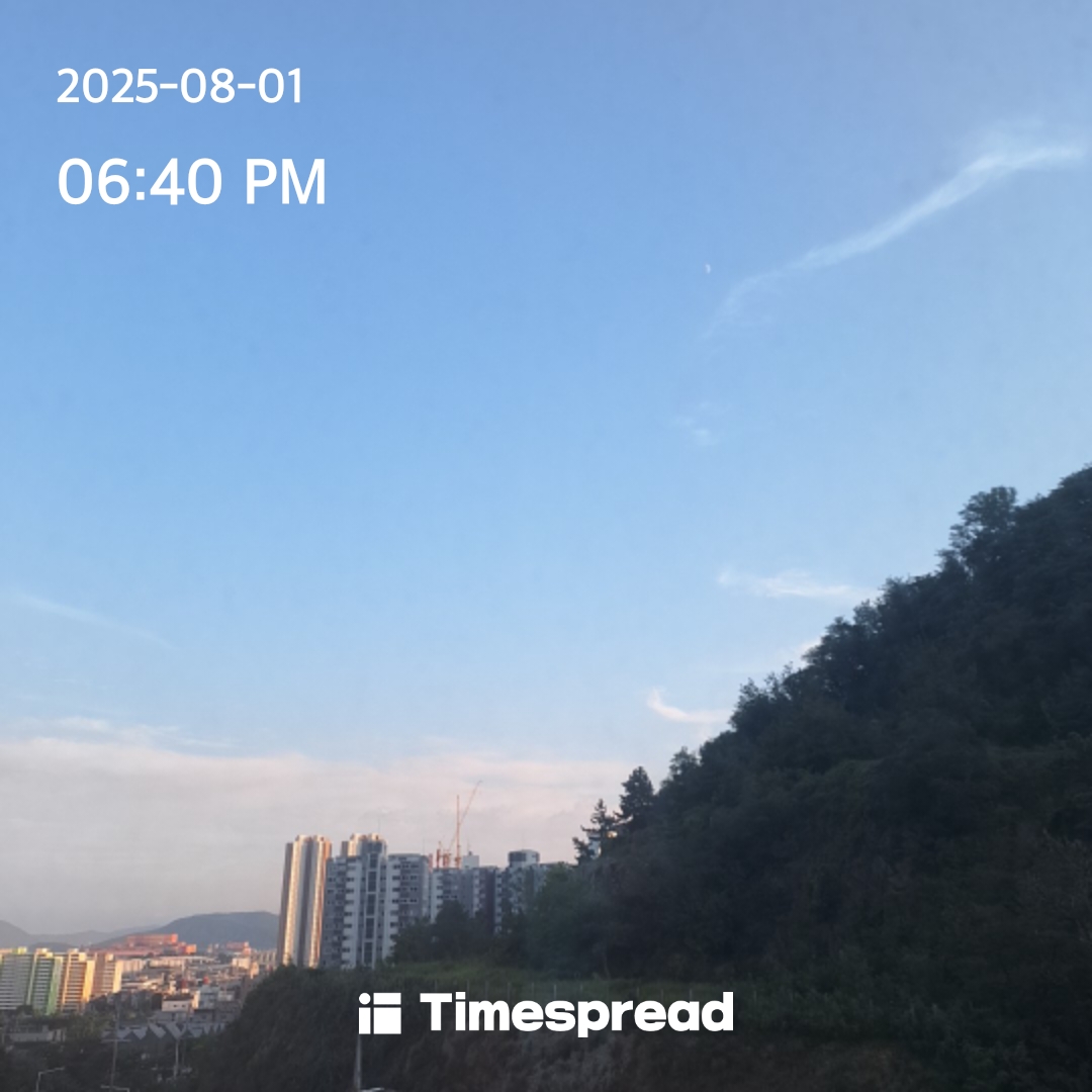 하늘보기 