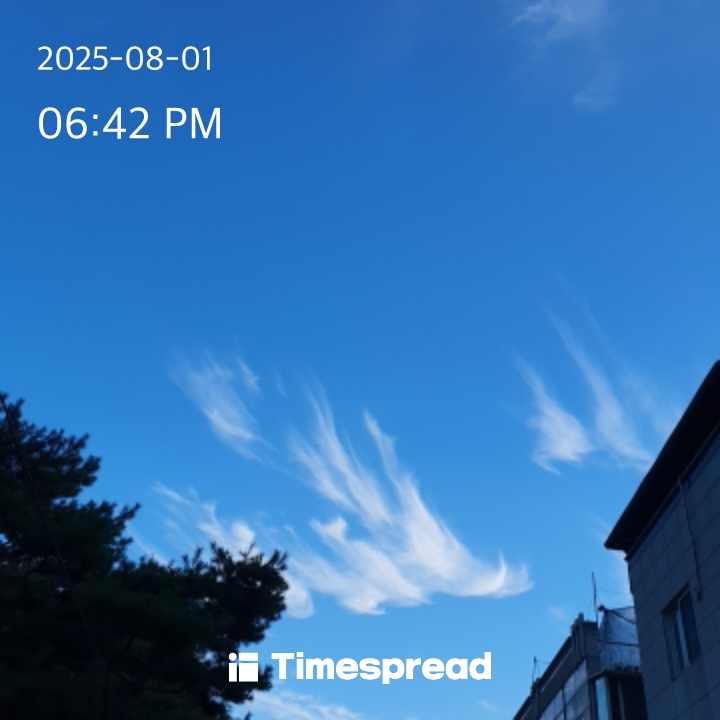 하늘보기 